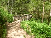 4.30.06 Hamilton Mountain 017 